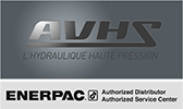 Logo AVHS
