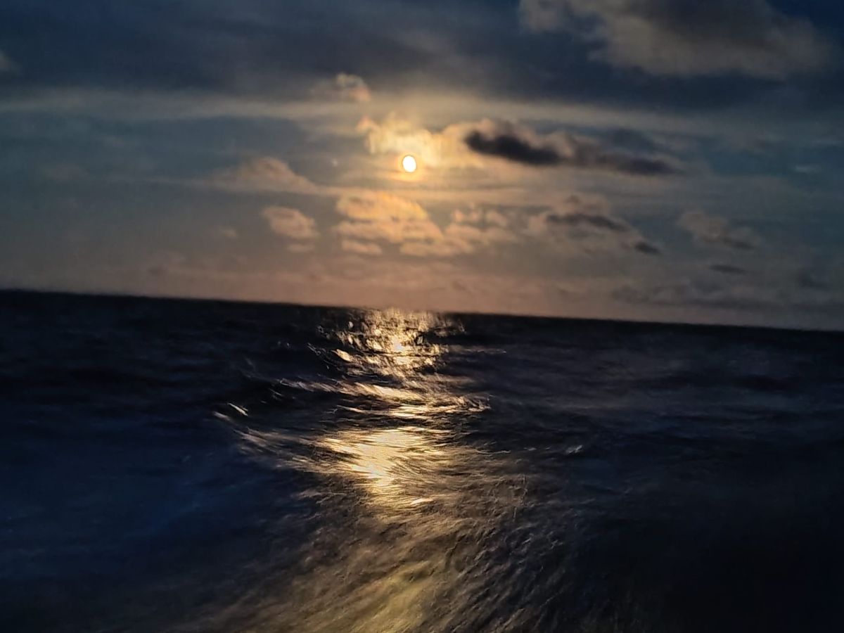 The golden lighted moonrise of 29th July 2026 from the Open60AAL. - ANT ARCTIC LAB