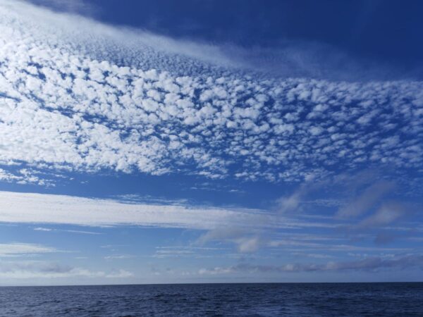 Ein blauer Himmel mit weißen Wolkenbänken über einem spiegelglatten Meer. – ANT ARCTIC LAB