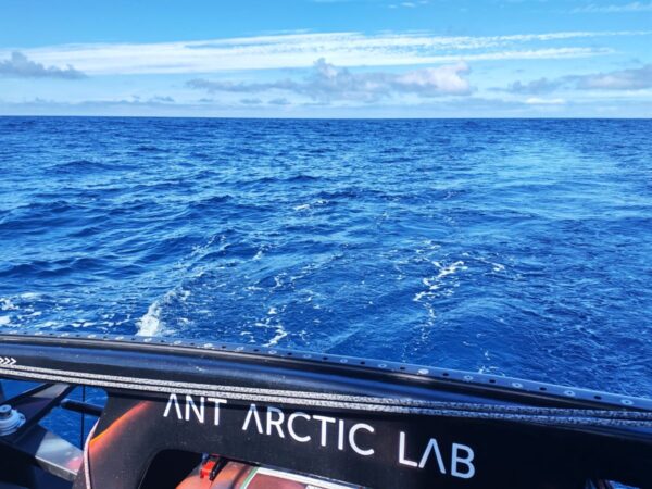 Ein sehr ruhiges und spiegelglattes Meer, gesehen vom Heck der Open60AAL aus. – ANT ARCTIC LAB